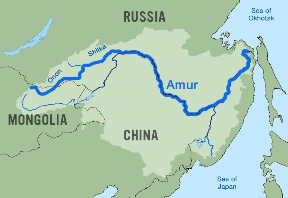 amur photo