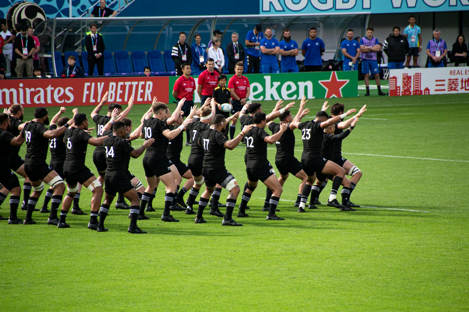 All Blacks photo